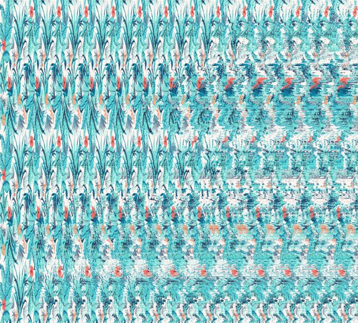The stereograms