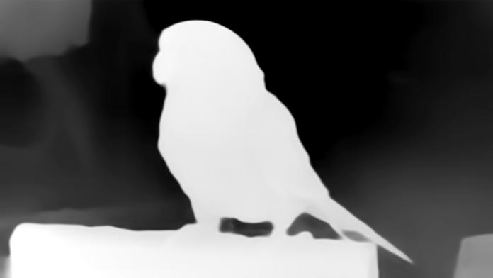 Creating Your First Stereogram: A Beginner's Guide - The magic Eye 3D