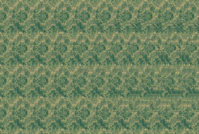 stereograms