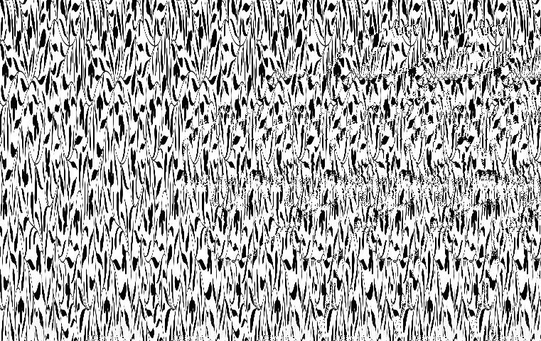 Dragon hidden in a stereogram
