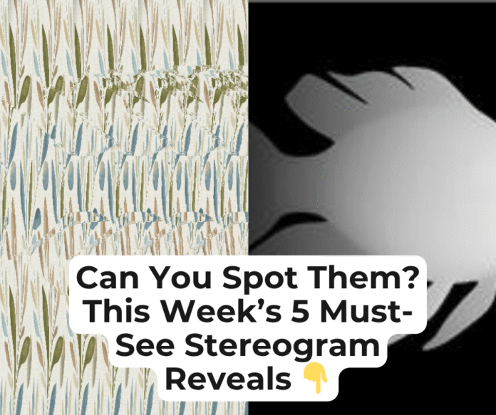 Can You Spot Them? This Week’s 5 Must-See Stereogram Reveals