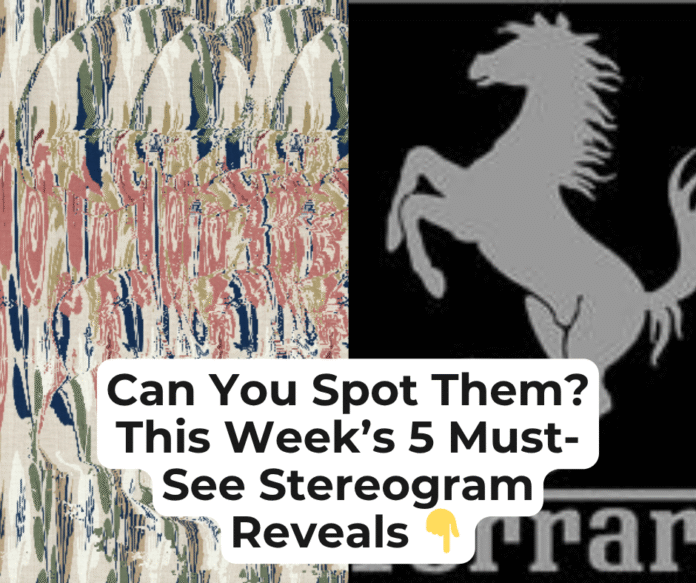 This Week’s 5 Must-See Stereogram Reveal